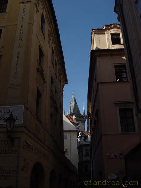 DSC07187