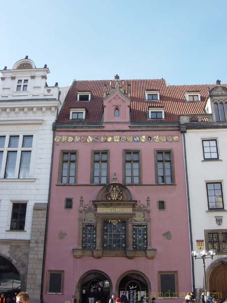 DSC07194