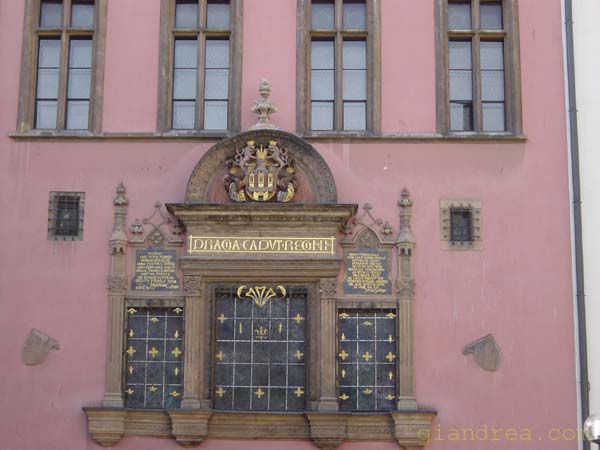 DSC07195