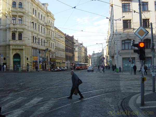 DSC07229