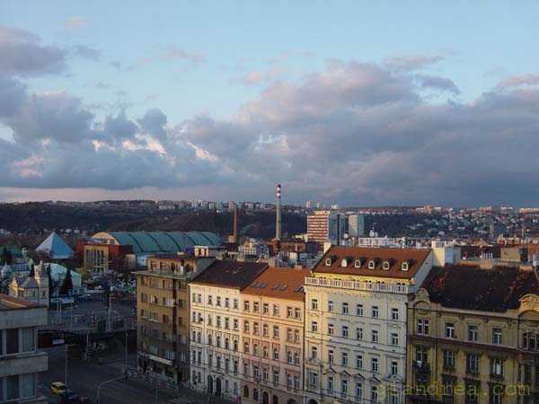 DSC07237