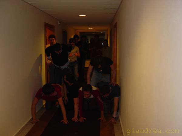 DSC07273