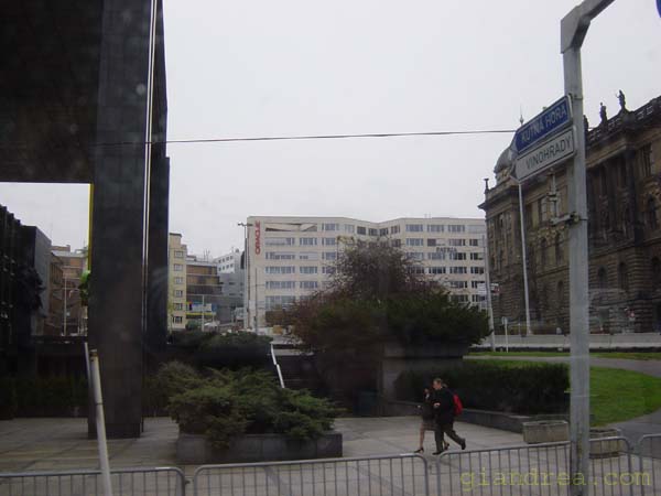 DSC07315