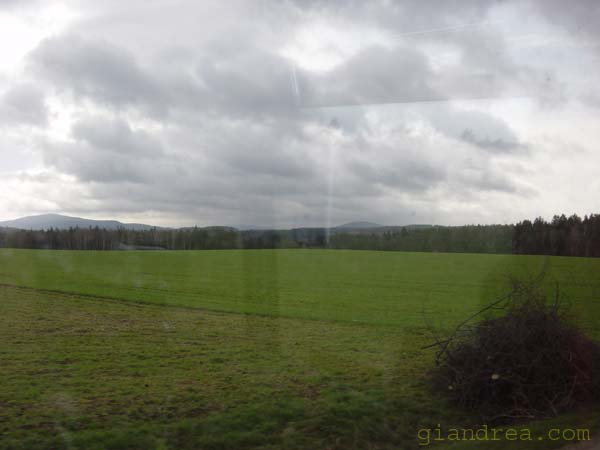 DSC07322