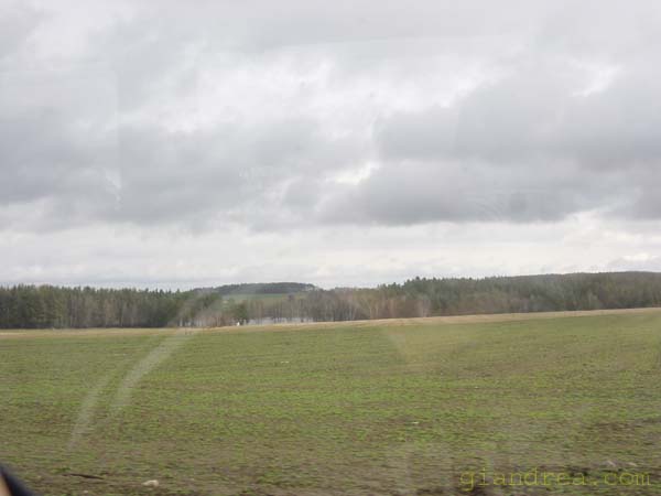 DSC07329