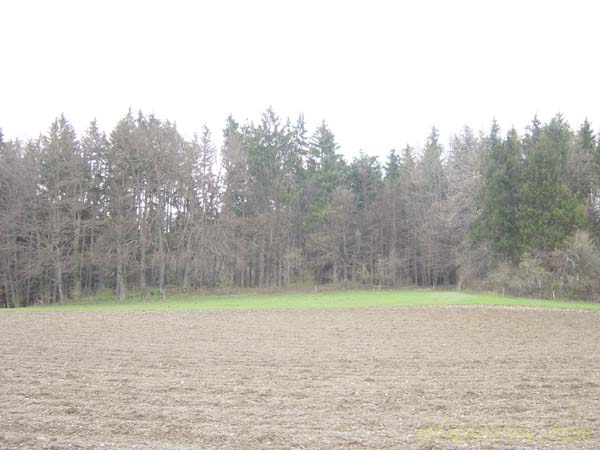 DSC07344