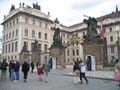 IMG_0981