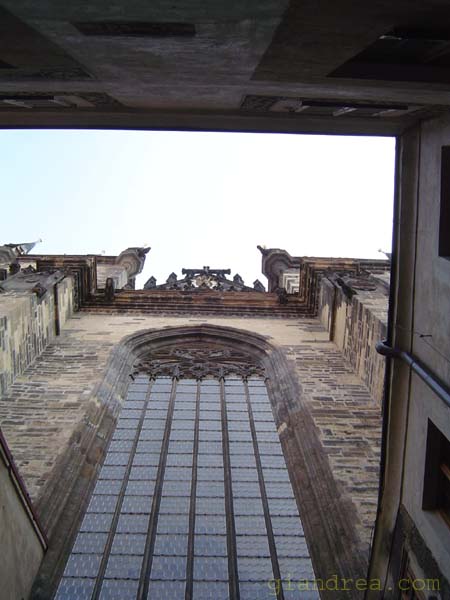 DSC01053