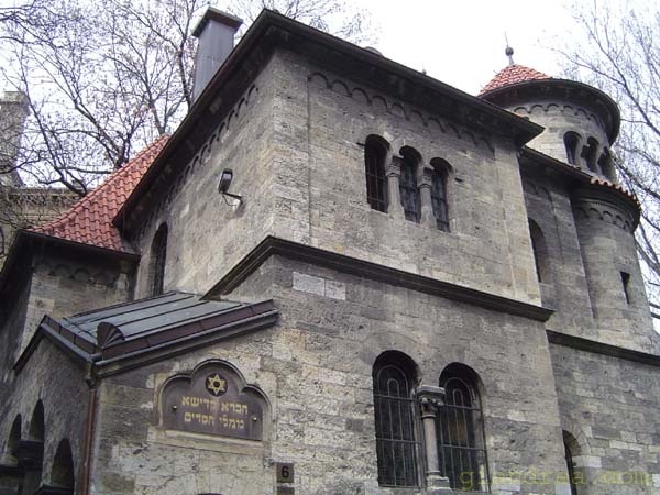 DSC01270