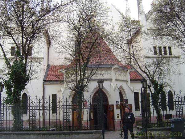 DSC01274