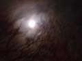 DSC01134