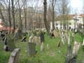 05-04-2004_11.43.42