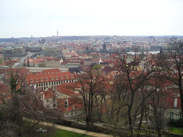 04-03-2004_028